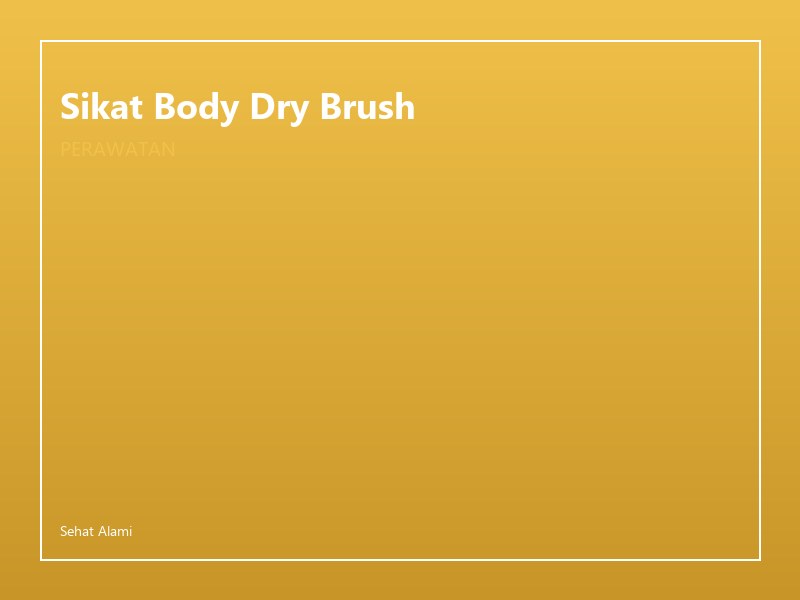Sikat Body Dry Brush
